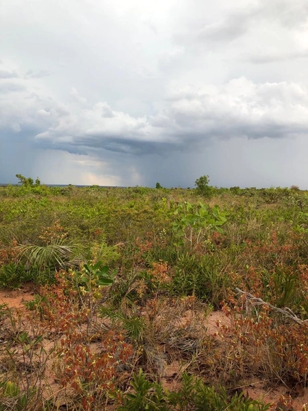 GRANDE ÁREA PARA AGRICULTURA | 28.896 hectares | Bonito de Minas-MG: 7ª foto da galeria de imagens do imóvel