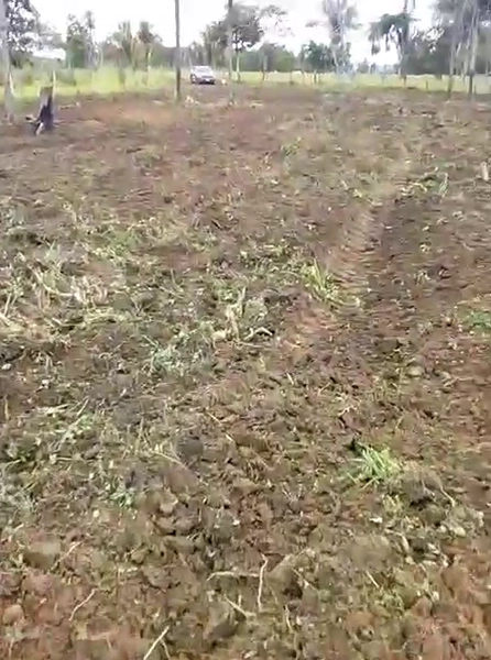 FAZENDÃO PRODUTIVO EM PALMEIRANTE–TO / 1.705 HECTARES: 8ª foto da galeria de imagens do imóvel