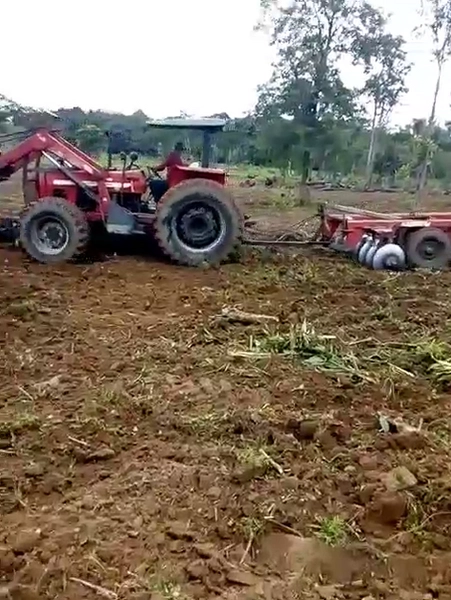 FAZENDÃO PRODUTIVO EM PALMEIRANTE–TO / 1.705 HECTARES: 1ª foto da galeria de imagens do imóvel