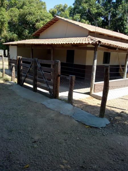 FAZENDÃO PRODUTIVO EM PALMEIRANTE–TO / 1.705 HECTARES: 14ª foto da galeria de imagens do imóvel