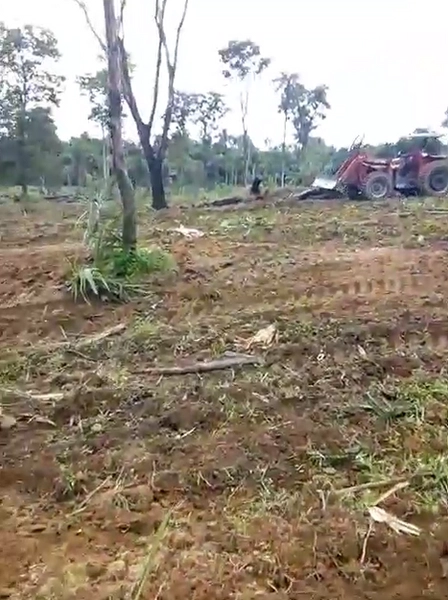 FAZENDÃO PRODUTIVO EM PALMEIRANTE–TO / 1.705 HECTARES: 5ª foto da galeria de imagens do imóvel