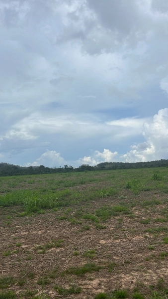 ARRENDAMENTO AGRÍCOLA DE ALTA OPORTUNIDADE – SINOP/MT: 11ª foto da galeria de imagens do imóvel