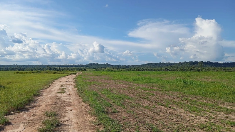 ARRENDAMENTO AGRÍCOLA DE ALTA OPORTUNIDADE – SINOP/MT: 10ª foto da galeria de imagens do imóvel