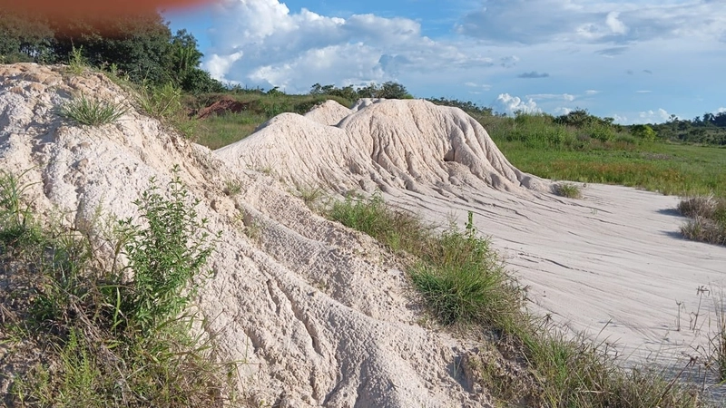 ARRENDAMENTO AGRÍCOLA DE ALTA OPORTUNIDADE – SINOP/MT: 1ª foto da galeria de imagens do imóvel