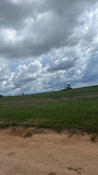 ARRENDAMENTO AGRÍCOLA DE ALTA OPORTUNIDADE – SINOP/MT: 5ª foto da galeria de imagens do imóvel