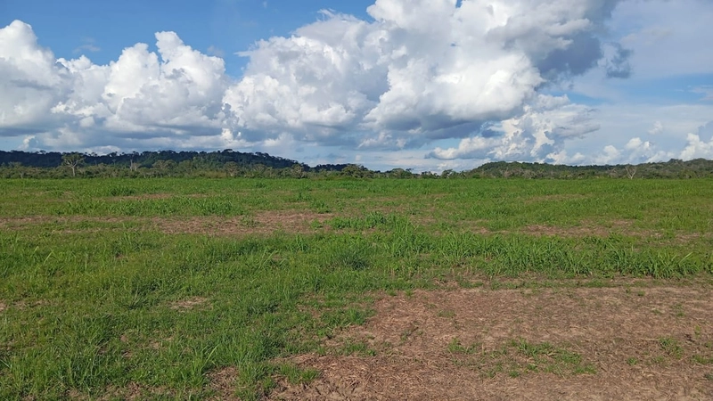 ARRENDAMENTO AGRÍCOLA DE ALTA OPORTUNIDADE – SINOP/MT: 9ª foto da galeria de imagens do imóvel