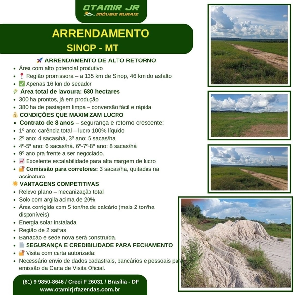ARRENDAMENTO AGRÍCOLA DE ALTA OPORTUNIDADE – SINOP/MT: 2ª foto da galeria de imagens do imóvel