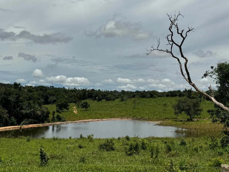 Fazendão em Tesouro-MT/Primavera do leste-MT -Apenas R$80 mil o alq.: 20ª foto da galeria de imagens do imóvel