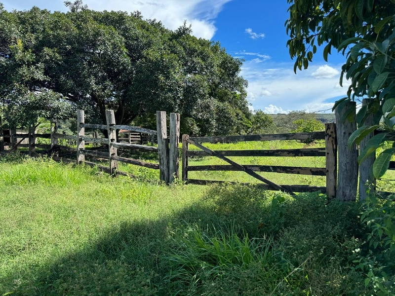 Fazendão em Tesouro-MT/Primavera do leste-MT -Apenas R$80 mil o alq.: 10ª foto da galeria de imagens do imóvel