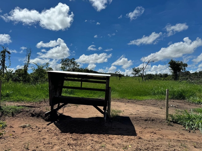Fazendão em Tesouro-MT/Primavera do leste-MT -Apenas R$80 mil o alq.: 13ª foto da galeria de imagens do imóvel