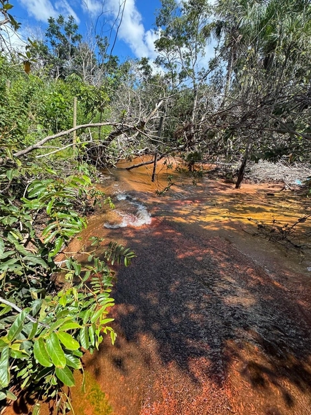 Fazendão em Tesouro-MT/Primavera do leste-MT -Apenas R$80 mil o alq.: 22ª foto da galeria de imagens do imóvel