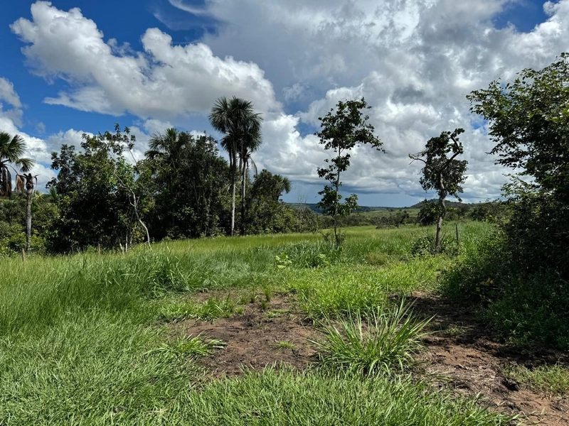 Fazendão em Tesouro-MT/Primavera do leste-MT -Apenas R$80 mil o alq.: 23ª foto da galeria de imagens do imóvel
