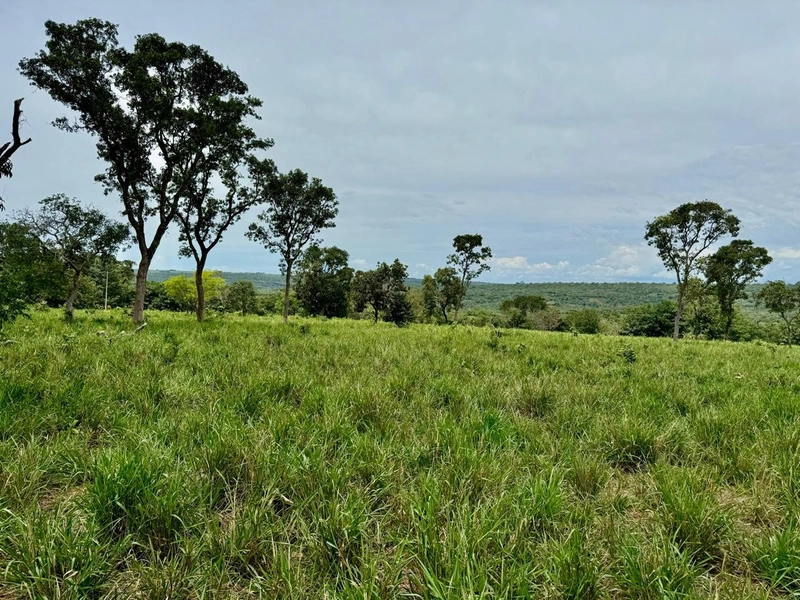 Fazendão em Tesouro-MT/Primavera do leste-MT -Apenas R$80 mil o alq.: 4ª foto da galeria de imagens do imóvel