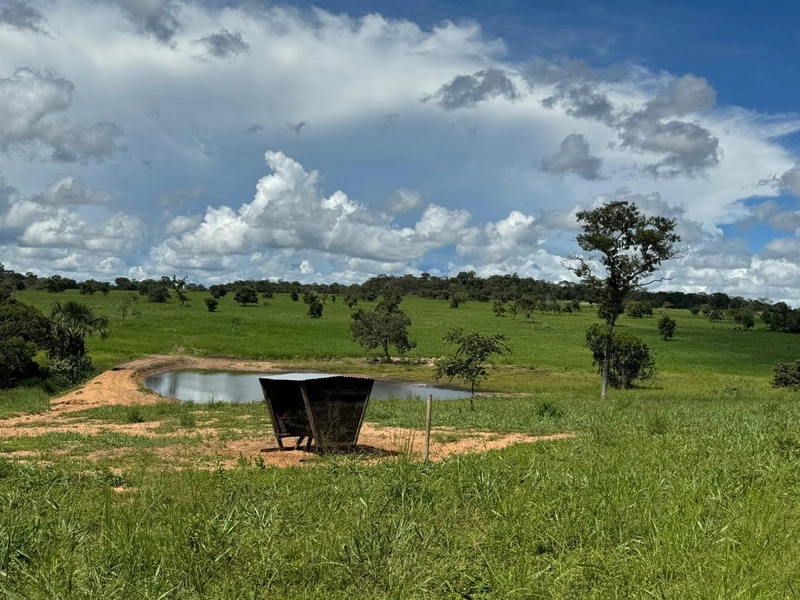 Fazendão em Tesouro-MT/Primavera do leste-MT -Apenas R$80 mil o alq.: 14ª foto da galeria de imagens do imóvel