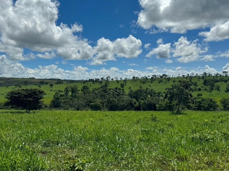 Fazendão em Tesouro-MT/Primavera do leste-MT -Apenas R$80 mil o alq.: 1ª foto da galeria de imagens do imóvel