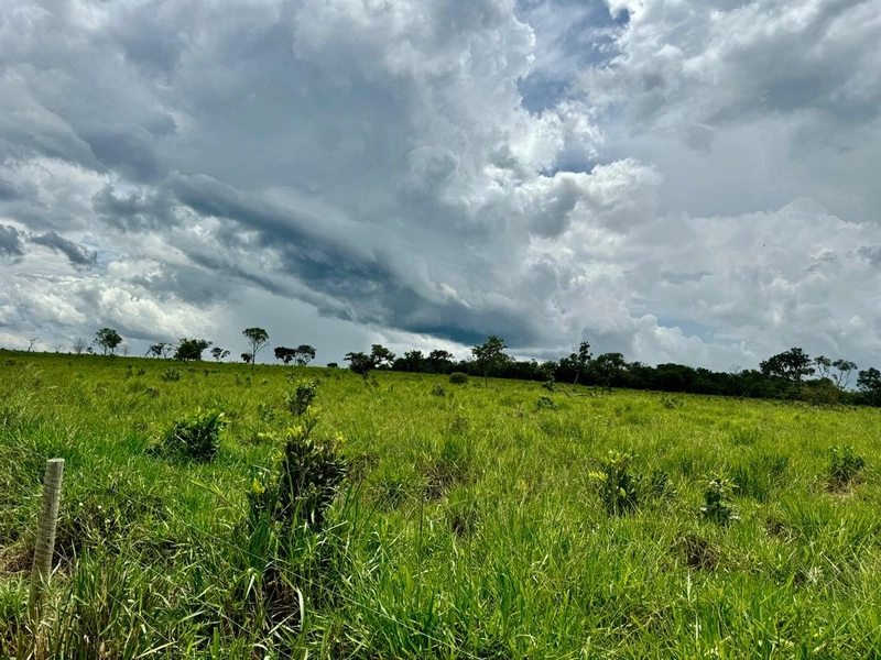 Fazendão em Tesouro-MT/Primavera do leste-MT -Apenas R$80 mil o alq.: 5ª foto da galeria de imagens do imóvel