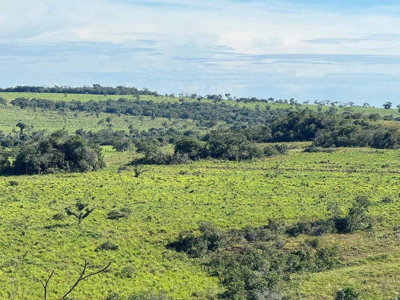 Fazendão em Tesouro-MT/Primavera do leste-MT -Apenas R$80 mil o alq.: 6ª foto da galeria de imagens do imóvel