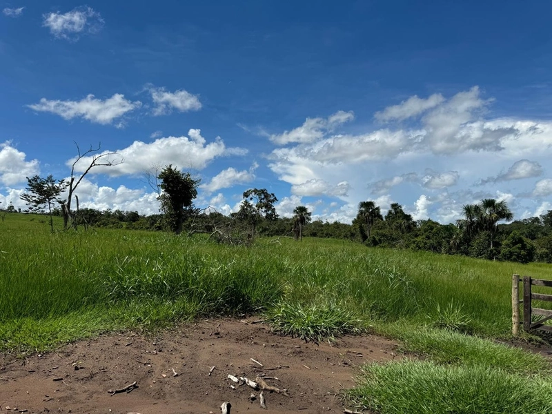 Fazendão em Tesouro-MT/Primavera do leste-MT -Apenas R$80 mil o alq.: 9ª foto da galeria de imagens do imóvel