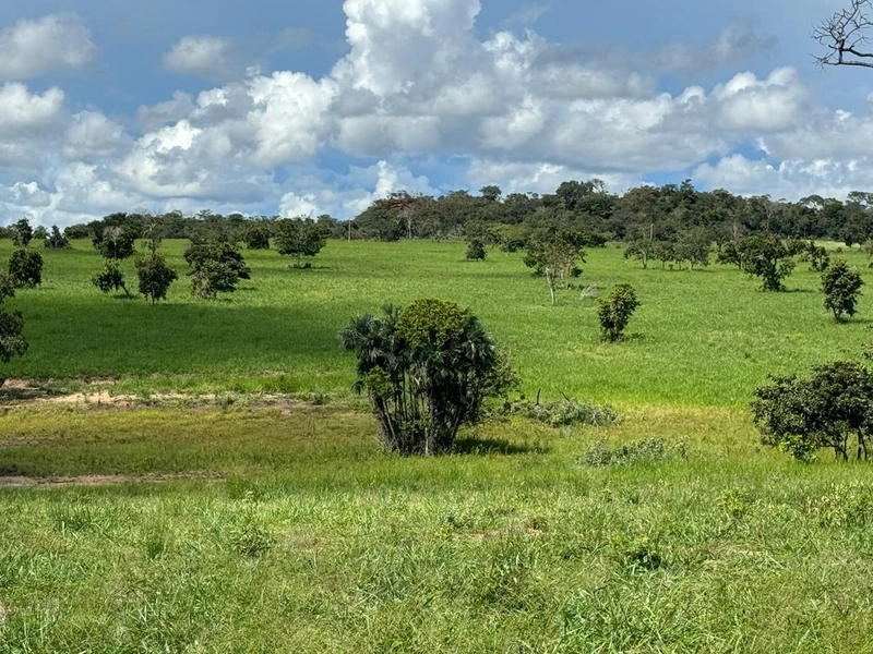 Fazendão em Tesouro-MT/Primavera do leste-MT -Apenas R$80 mil o alq.: 24ª foto da galeria de imagens do imóvel