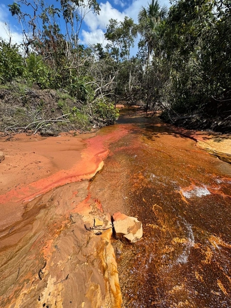 Fazendão em Tesouro-MT/Primavera do leste-MT -Apenas R$80 mil o alq.: 12ª foto da galeria de imagens do imóvel