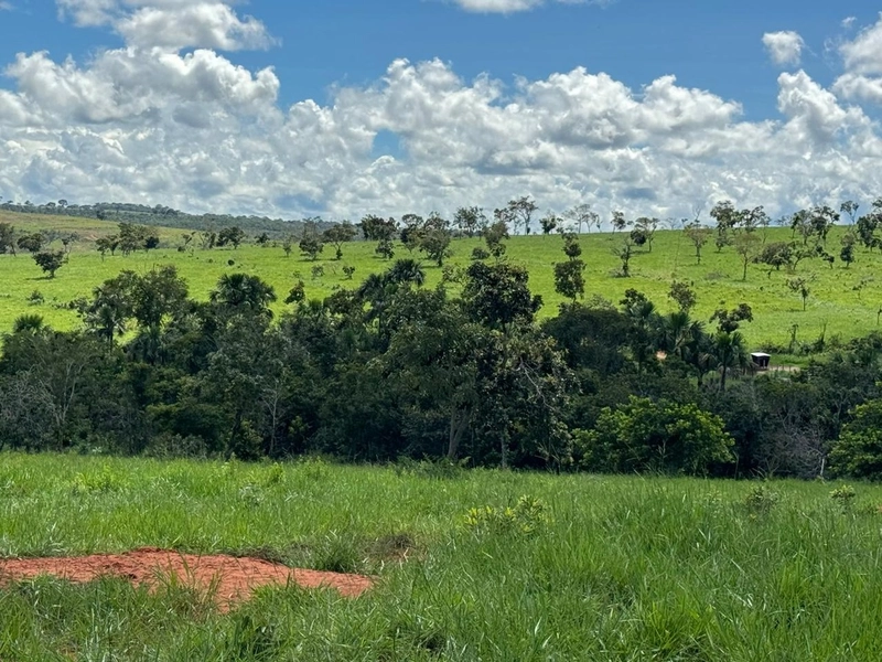 Fazendão em Tesouro-MT/Primavera do leste-MT -Apenas R$80 mil o alq.: 25ª foto da galeria de imagens do imóvel
