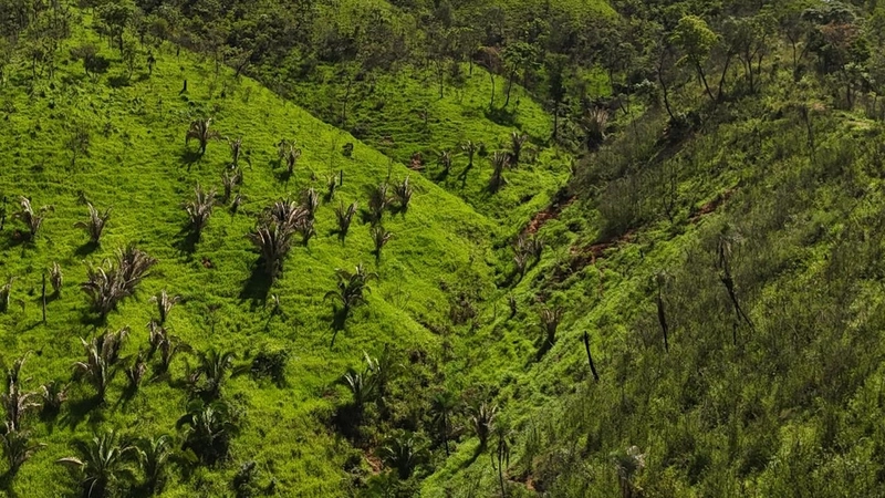 Fazendão para PECUÁRIA - APENAS R$40 mil o alqueire: 3ª foto da galeria de imagens do imóvel