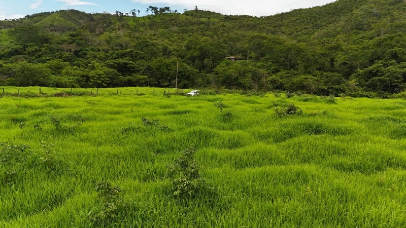 Fazendão para PECUÁRIA - APENAS R$40 mil o alqueire: 10ª foto da galeria de imagens do imóvel