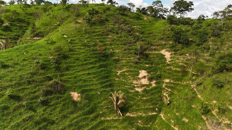 Fazendão para PECUÁRIA - APENAS R$40 mil o alqueire: 9ª foto da galeria de imagens do imóvel