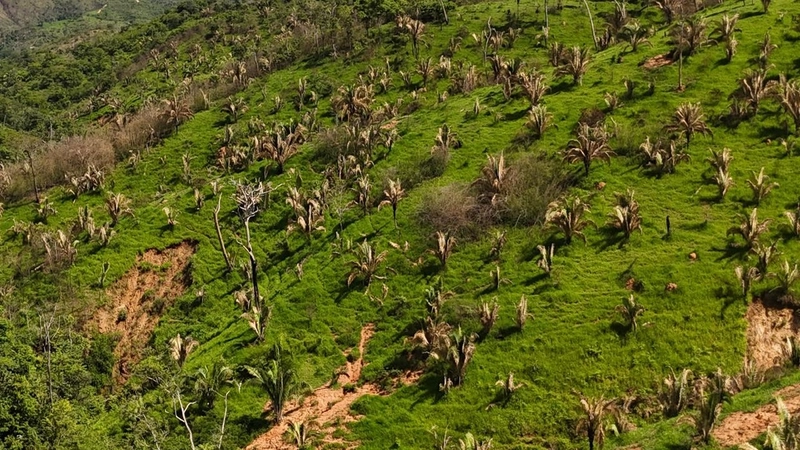 Fazendão para PECUÁRIA - APENAS R$40 mil o alqueire: 2ª foto da galeria de imagens do imóvel