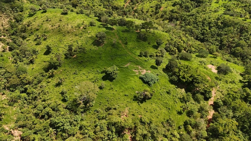 Fazendão para PECUÁRIA - APENAS R$40 mil o alqueire: 11ª foto da galeria de imagens do imóvel