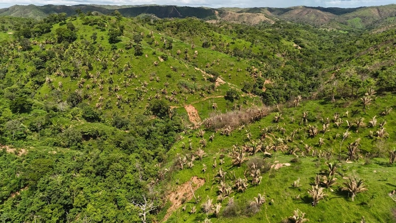 Fazendão para PECUÁRIA - APENAS R$40 mil o alqueire: 7ª foto da galeria de imagens do imóvel