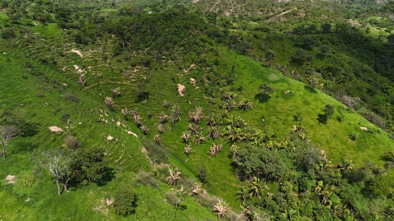 Fazendão para PECUÁRIA - APENAS R$40 mil o alqueire: 6ª foto da galeria de imagens do imóvel