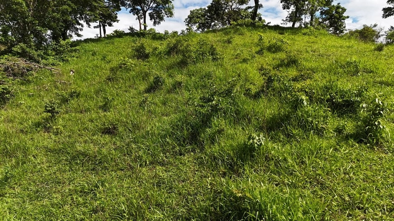 Fazendão para PECUÁRIA - APENAS R$40 mil o alqueire: 8ª foto da galeria de imagens do imóvel