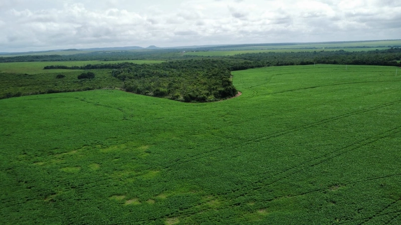 ARRENDAMENTO PARA SOJA em Balsas-MA: 1ª foto da galeria de imagens do imóvel
