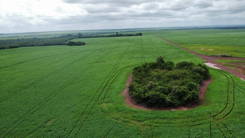ARRENDAMENTO PARA SOJA em Balsas-MA: 4ª foto da galeria de imagens do imóvel