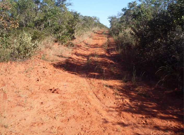 Fazenda à venda, 17.153 Ha, em Montalvânia-MG: 9ª foto da galeria de imagens do imóvel
