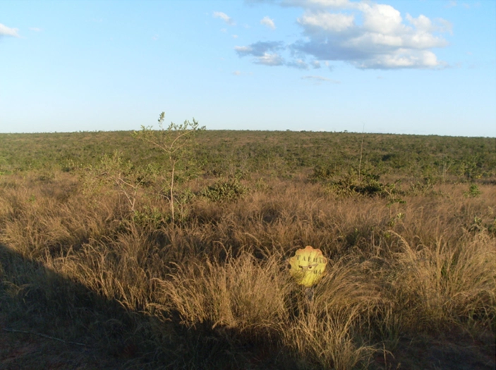 Fazenda à venda, 17.153 Ha, em Montalvânia-MG: 5ª foto da galeria de imagens do imóvel