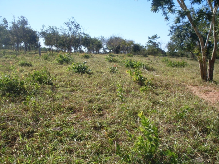 Fazenda à venda, 17.153 Ha, em Montalvânia-MG: 1ª foto da galeria de imagens do imóvel