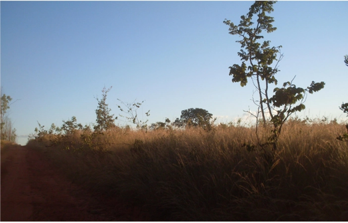 Fazenda à venda, 17.153 Ha, em Montalvânia-MG: 23ª foto da galeria de imagens do imóvel