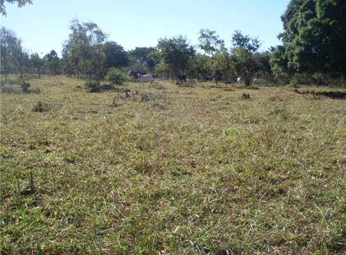 Fazenda à venda, 17.153 Ha, em Montalvânia-MG: 32ª foto da galeria de imagens do imóvel
