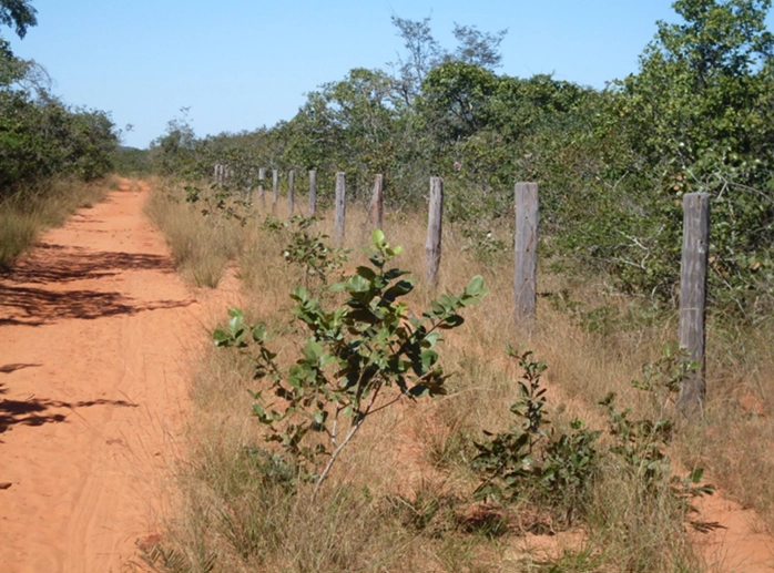Fazenda à venda, 17.153 Ha, em Montalvânia-MG: 14ª foto da galeria de imagens do imóvel