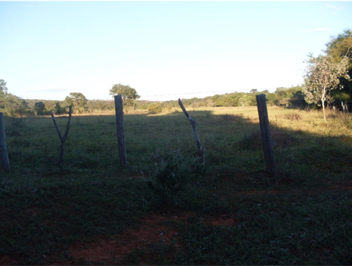 Fazenda à venda, 17.153 Ha, em Montalvânia-MG: 2ª foto da galeria de imagens do imóvel