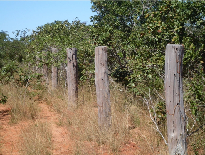 Fazenda à venda, 17.153 Ha, em Montalvânia-MG: 13ª foto da galeria de imagens do imóvel