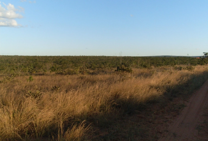 Fazenda à venda, 17.153 Ha, em Montalvânia-MG: 26ª foto da galeria de imagens do imóvel