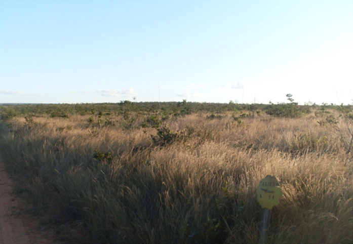 Fazenda à venda, 17.153 Ha, em Montalvânia-MG: 4ª foto da galeria de imagens do imóvel