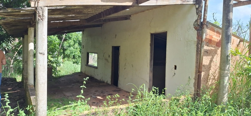 OPORTUNIDADE EM CHÁCARA 11 HECTARES - NO GIRASSOL/COCALZINHO-GO: 15ª foto da galeria de imagens do imóvel