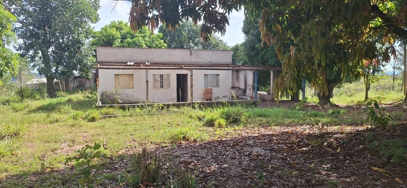 OPORTUNIDADE EM CHÁCARA 11 HECTARES - NO GIRASSOL/COCALZINHO-GO: 16ª foto da galeria de imagens do imóvel