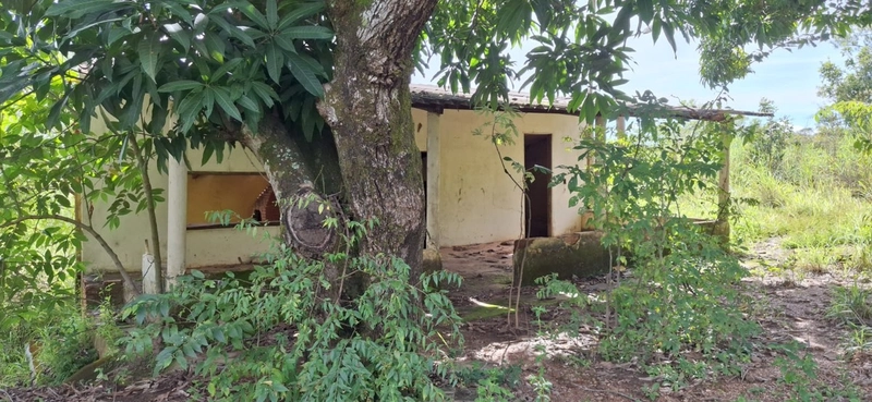 OPORTUNIDADE EM CHÁCARA 11 HECTARES - NO GIRASSOL/COCALZINHO-GO: 14ª foto da galeria de imagens do imóvel