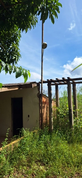 OPORTUNIDADE EM CHÁCARA 11 HECTARES - NO GIRASSOL/COCALZINHO-GO: 21ª foto da galeria de imagens do imóvel