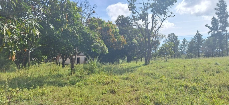 OPORTUNIDADE EM CHÁCARA 11 HECTARES - NO GIRASSOL/COCALZINHO-GO: 26ª foto da galeria de imagens do imóvel